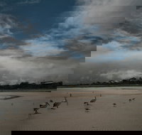 Hardwicke Bay - Accommodation Melbourne