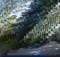 Hastings Forest Way Touring Route - Accommodation Melbourne