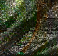 Hidden Treasure Track - Accommodation Melbourne