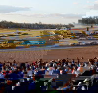 Ipswich Motorsport Precinct - Accommodation Melbourne