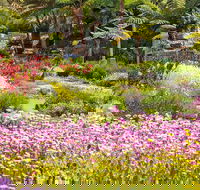 Jurassic Garden AR Experience - Accommodation Melbourne