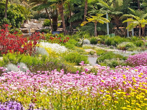 Jurassic Garden AR Experience - Accommodation Melbourne 0