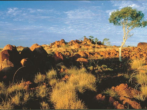 Kunjarra/The Pebbles - Accommodation Melbourne 0