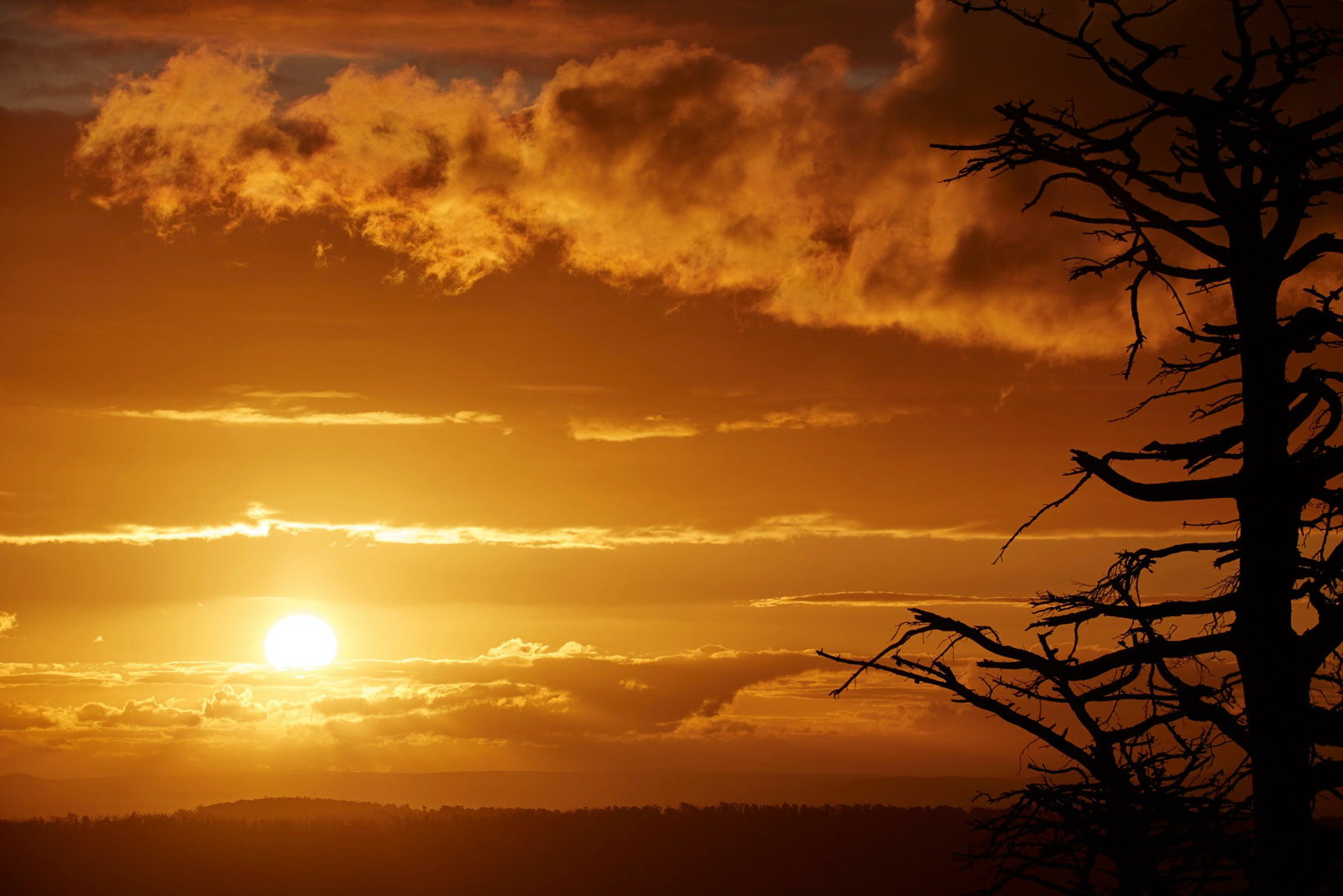 Kinglake Central VIC Accommodation Melbourne