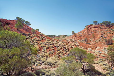 Lark Quarry Conservation Park - Accommodation Melbourne 0