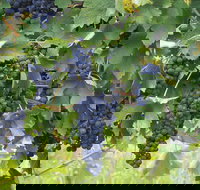 Luskintyre - Accommodation Melbourne