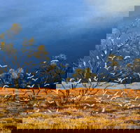 Lyn Barnes Gallery - Accommodation Melbourne