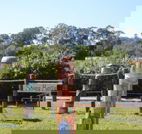 Maryboroughs Bollards - Accommodation Melbourne