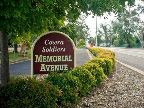 Memorial Avenue In Cowra - Accommodation Melbourne 0