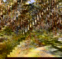 Mining Road Fire Trail Old Gibber Road Rire Trail - Accommodation Melbourne