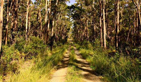 Mining Road Fire Trail, Old Gibber Road Rire Trail - Accommodation Melbourne 0