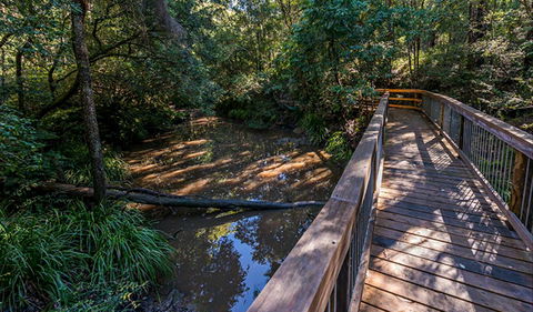 Ms Kellys Walking Track - Accommodation Melbourne 0