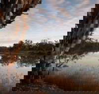 Murray-Kulkyne Regional Park - Accommodation Melbourne