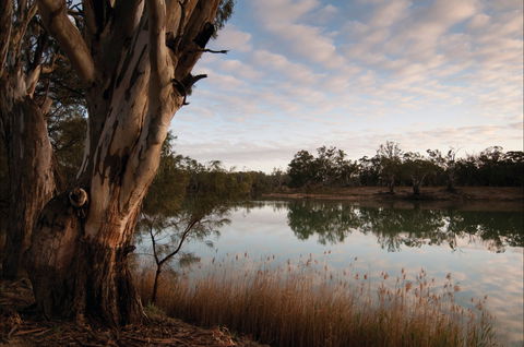 Murray-Kulkyne Regional Park - Accommodation Melbourne 0