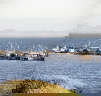 Portarlington - Accommodation Melbourne