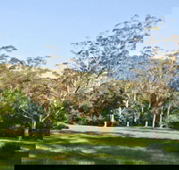 Red Cedar Flat Picnic Area - Accommodation Melbourne