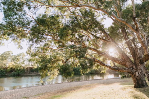 Riverside:  Wagga Beach - Accommodation Melbourne 1