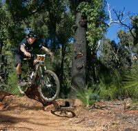 Scorpion Trail Kalamunda Mountain Bike Trails - Accommodation Melbourne