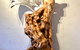 Sculptured Gallery - thumb 1