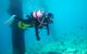 Shellharbour Scuba  And Photography Centre - thumb 0