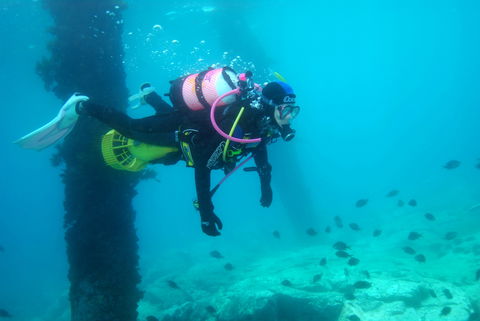 Shellharbour Scuba  And Photography Centre - Accommodation Melbourne 0