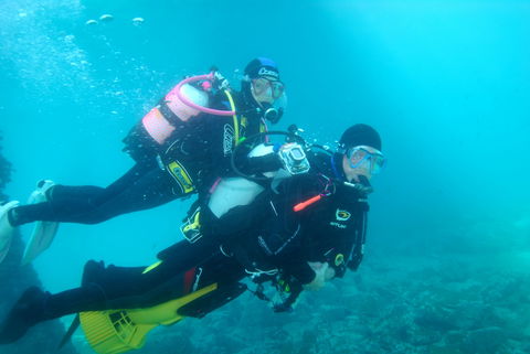 Shellharbour Scuba  And Photography Centre - Accommodation Melbourne 1