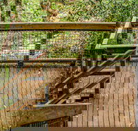 Somersby Falls walking track - Accommodation Melbourne