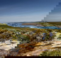 The Coast track - Accommodation Melbourne