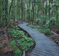 The Channon Protesters Falls Nimbin and Mount Nardi - Accommodation Melbourne