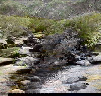 Thredbo River Track - Accommodation Melbourne