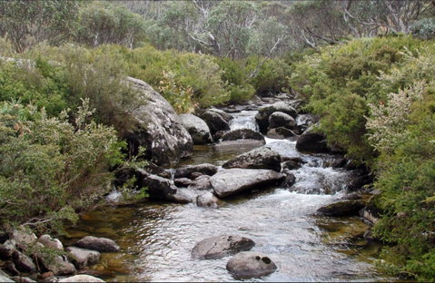Thredbo River Track - Accommodation Melbourne 0