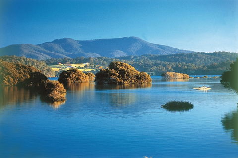 Wagonga Picnic Area - Accommodation Melbourne 0