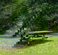 Williams River picnic area - Accommodation Melbourne