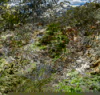 Yarrambat Park - Accommodation Melbourne
