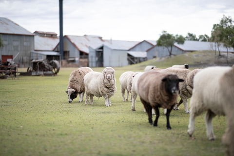 14 Day Gems Of The Outback - Accommodation Melbourne 2