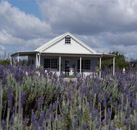 Amandine Lavender - Accommodation Melbourne