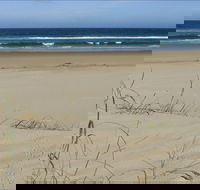 Bongil Beach - Accommodation Melbourne