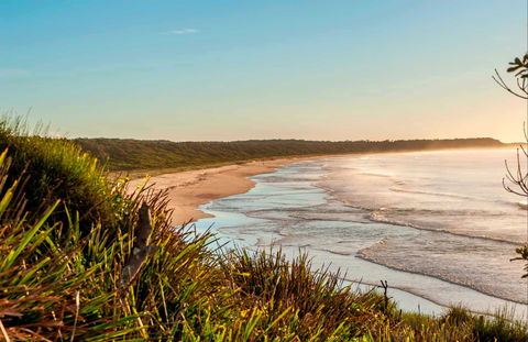 Burrawang Track - Conjola Beach To Buckleys Point - Accommodation Melbourne 0