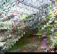 Cairns ZOOM and Wildlife Dome - Accommodation Melbourne