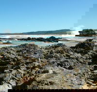 Coastal Walks - Bermagui - Accommodation Melbourne