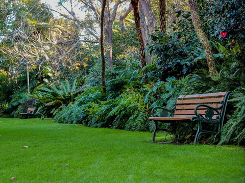 EG Waterhouse National Camellia Gardens - Accommodation Melbourne 0