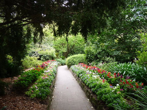 EG Waterhouse National Camellia Gardens - Accommodation Melbourne 1