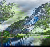 Gold Coast Regional Botanic Gardens - Accommodation Melbourne