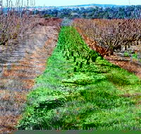 Hall Family Orchards - Accommodation Melbourne