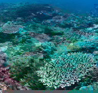 Hanging Rock Dive Site - Accommodation Melbourne