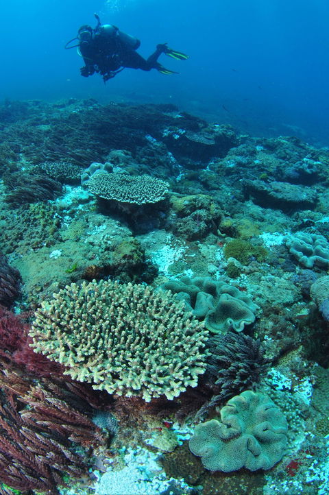 Hanging Rock Dive Site - Accommodation Melbourne 0