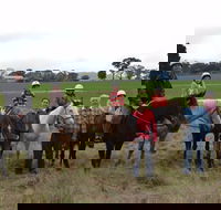 High Country Trail Rides - Accommodation Melbourne
