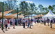 Ivory's Rock Conventions And Events - thumb 2