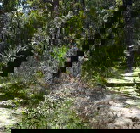 Karloo Walking Track - Accommodation Melbourne