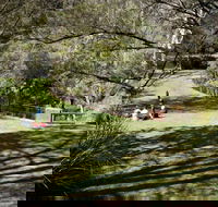 Leura Cascades picnic area - Accommodation Melbourne